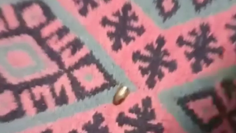 Adana'da yorgun mermi, ailenin oturduğu çardağa isabet etti