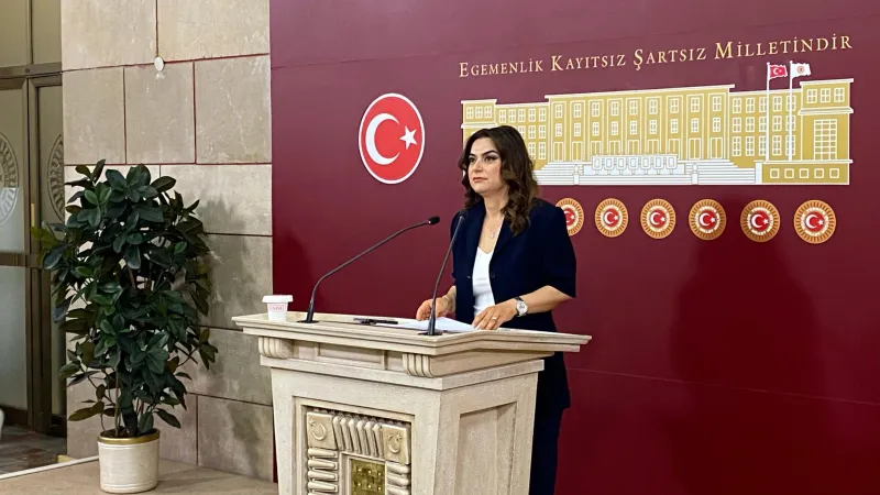 DEM'den Barış Komisyonuna Destek! Kurtulmuş'un Daveti Umut Verdi
