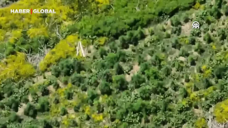 Dicle Nehri'ndeki adacıklarda ele geçirildi: Tam 1220 tane!