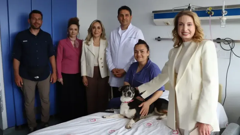 Doktorlar ayakta! AKP'li vekil ameliyat olan hastaları köpekle ziyaret etti
