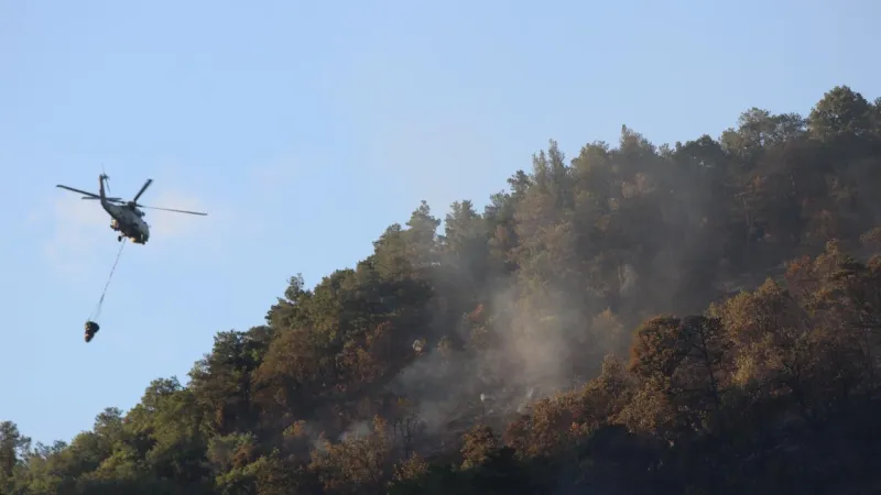 Fethiye'de çıkan orman yangını söndürüldü