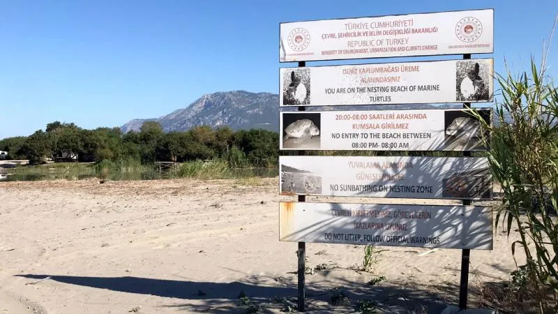 Gündüz turistlerin, gece kaplumbağaların: Bu sahillere gece girişin cezası 557 bin 212 TL