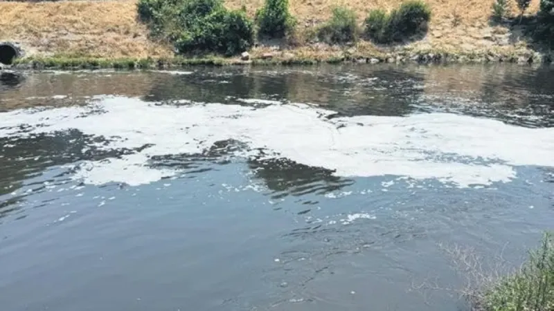 Marmara Alarm Veriyor! Denizlere Pislik Mi Akıyor?