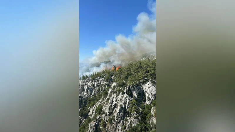 Milas'ta orman yangını çıktı
