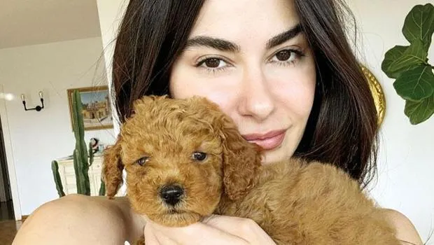 Nesrin Cavadzade'den Köpek Açıklaması: Satın Almadım, Hediye!