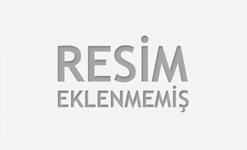 Galatasaray'da Şampiyonluk Coşkusu: 5. Yıldız Geliyor Mu?