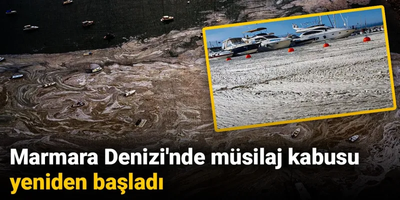 Marmara Alarm Veriyor! Müsilaj Kabusu Geri mi Dönüyor?