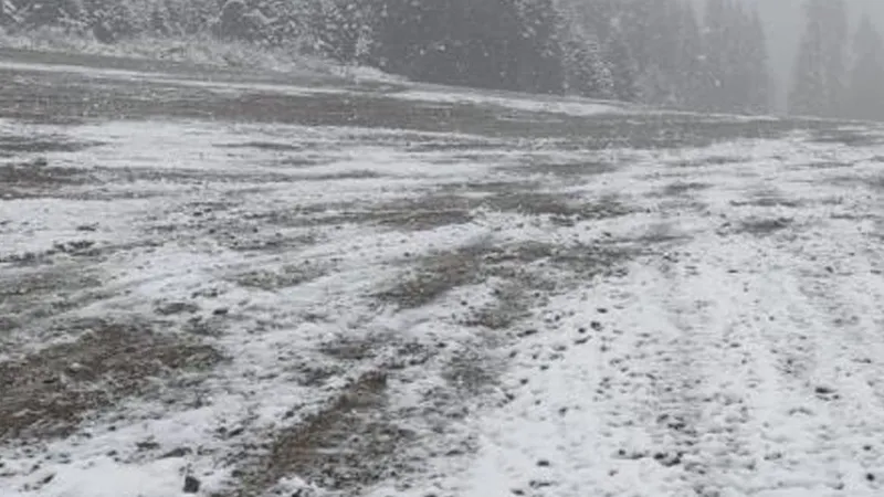 Kastamonu'da Mayıs'ta Kar Sürprizi! Ilgaz Dağı Beyaza Büründü