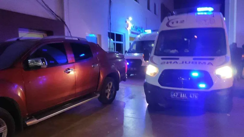 14 Yaşındaki Çocuk Tüfekle Vuruldu: Mardin'de Korkunç Kaza!