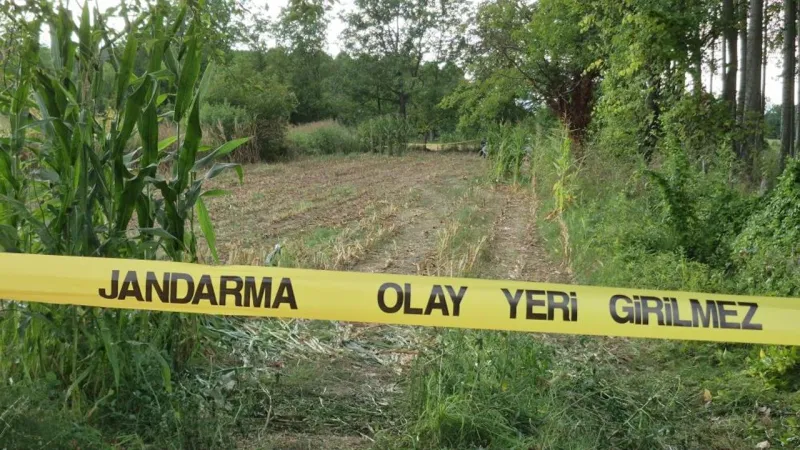 Tarlada kafatası ve kemikler buldular