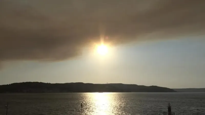 Tekirdağ'daki orman yangını kısmen kontrol altında! Balıkesir'de müdahale sürüyor!